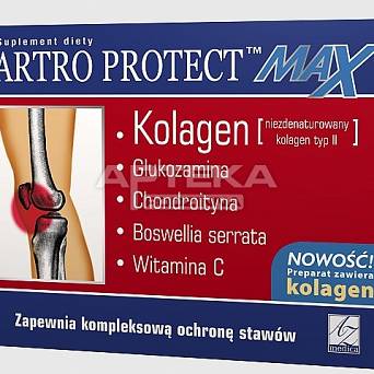 Artro Protect MAX 60 kapsułek